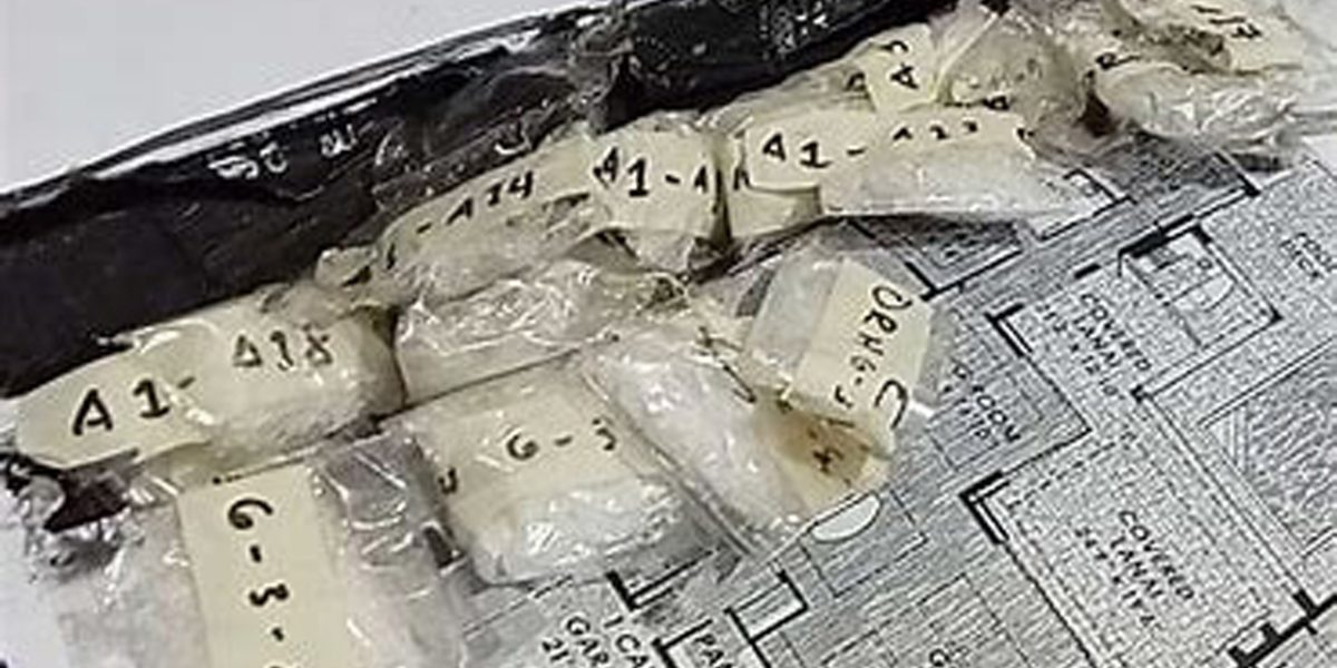 P12.9M worth of illegal drugs seized in Pasay City