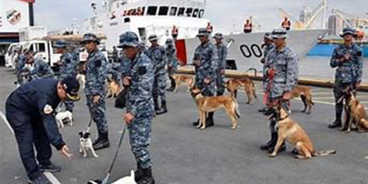 PCG K9 unit flags P22 million worth of shabu in Catbalogan