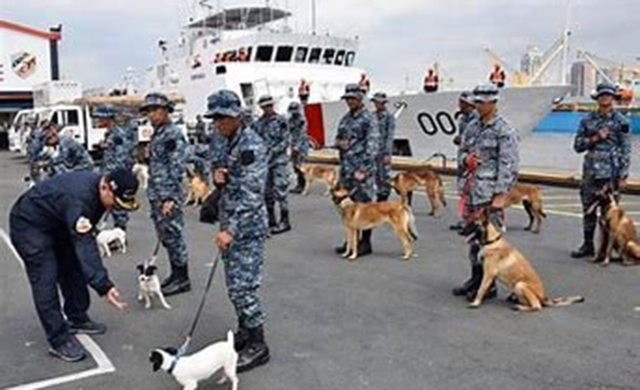 PCG K9 unit flags P22 million worth of shabu in Catbalogan