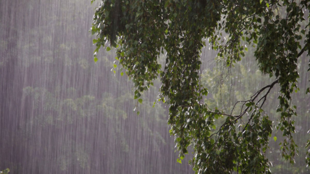 Palawan placed under orange yellow rainfall warning due to shear line.jpg
