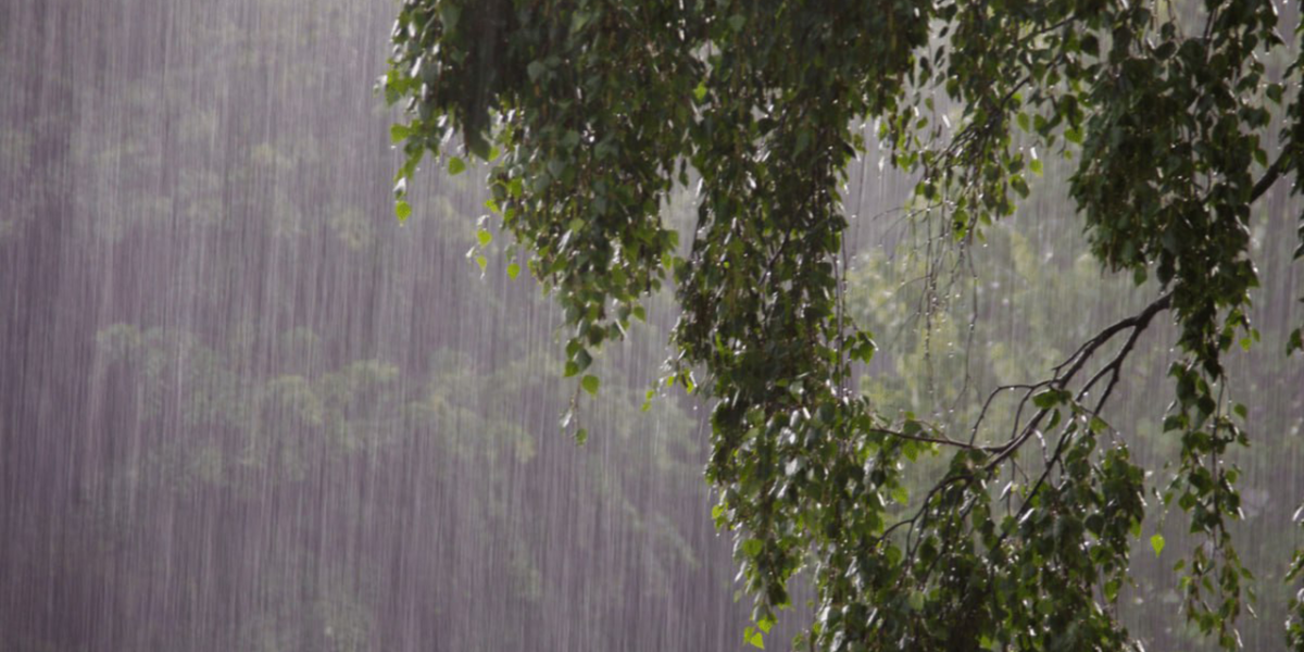 Palawan placed under orange yellow rainfall warning due to shear line.jpg