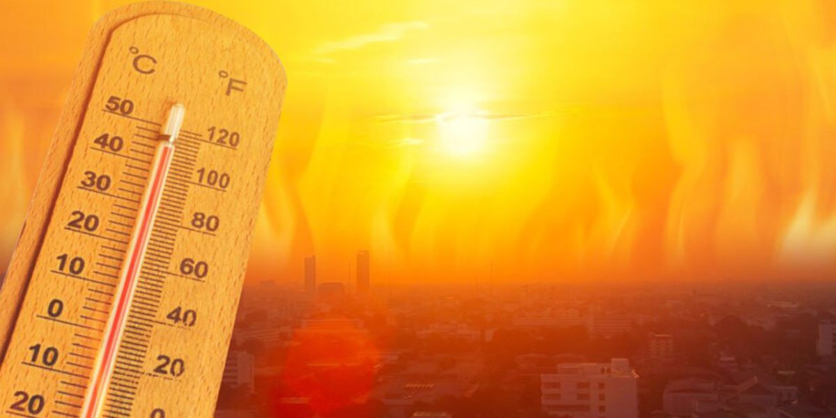 Heat related illnesses What you need to know