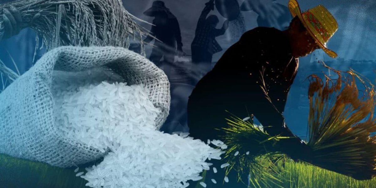 Theres fake news about P20 per kilo rice in Visayas says Palace