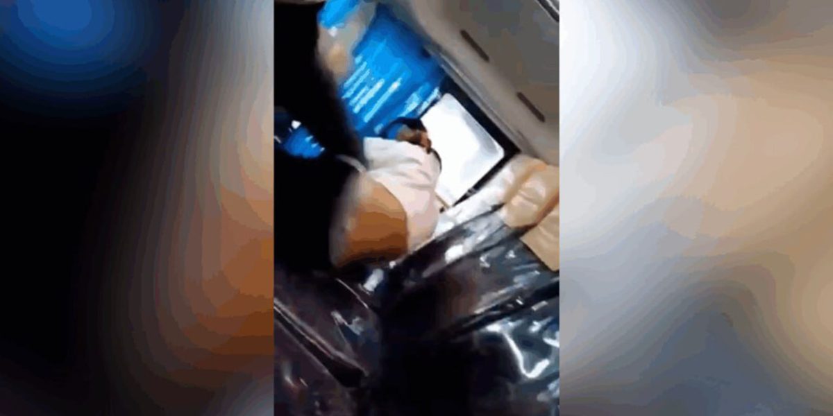 PWD mauled on Edsa carousel DOTr suspends bus drivers license