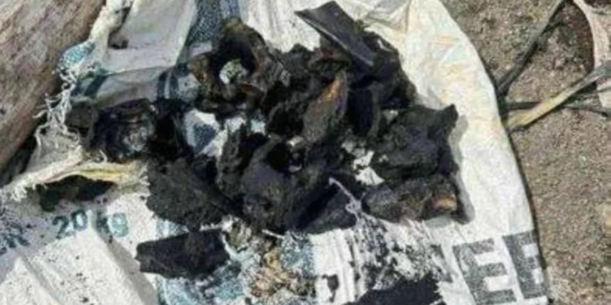 photo 2025 07 10 21 44 30 1