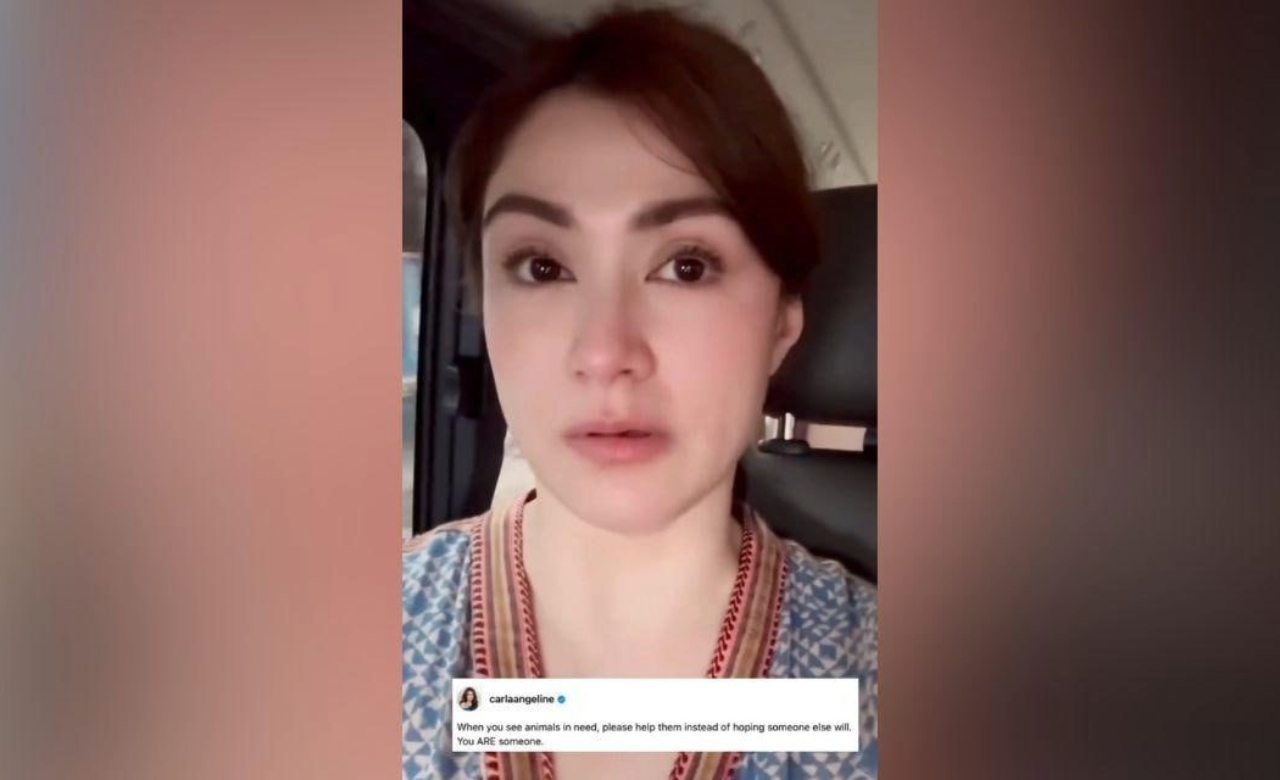 Trigger warning: Carla Abellana emotional at finding hit-and-run aspin, gives it a proper burial