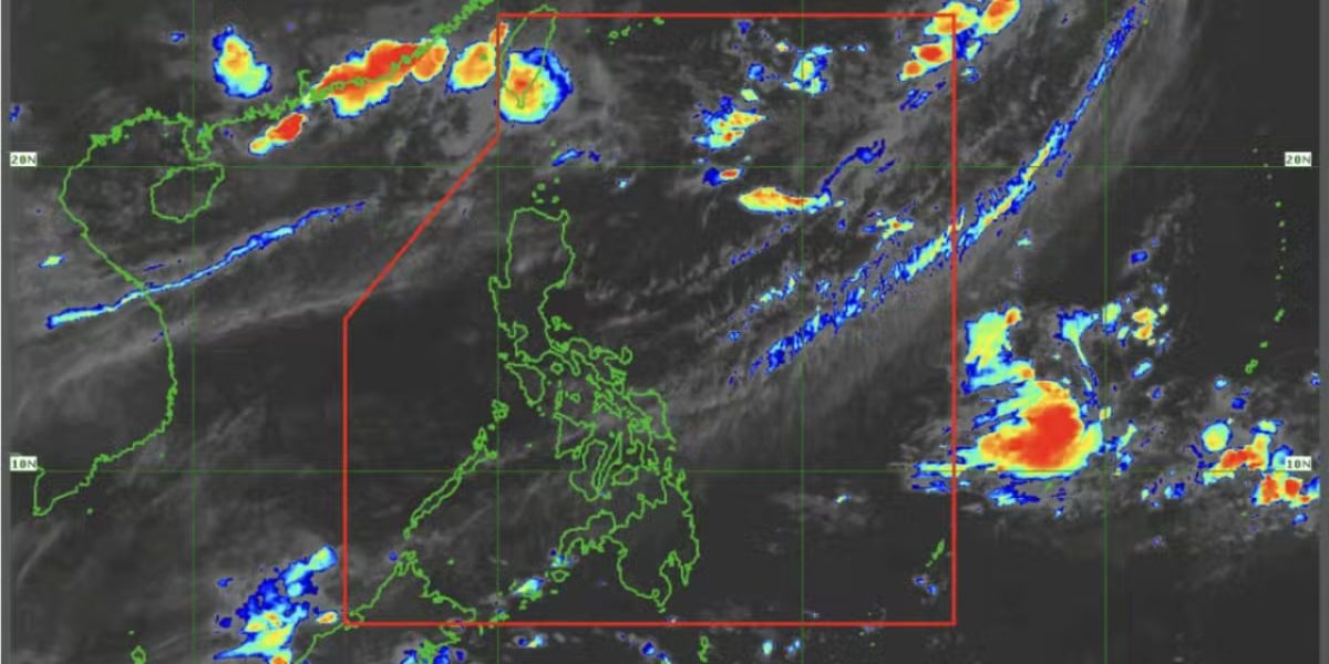 photo 2025 08 03 13 15 25 1