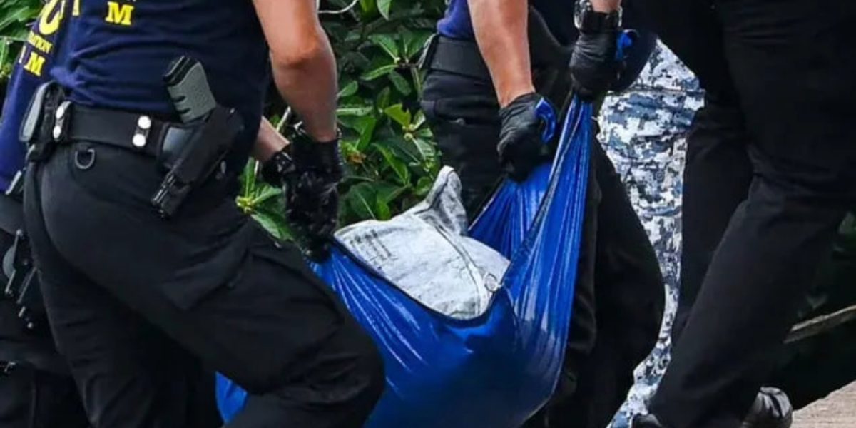 photo 2025 08 07 19 56 59 1