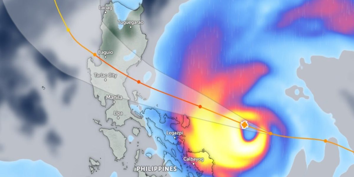 photo 2025 11 09 11 25 03 1