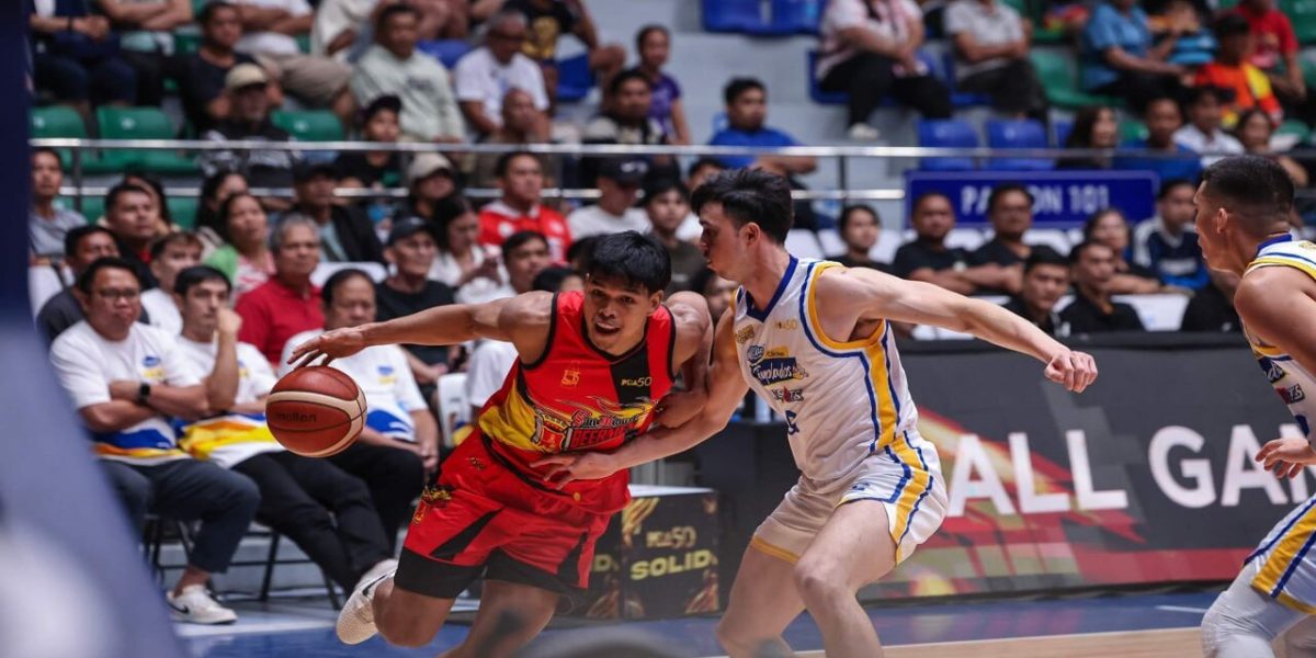 photo 2025 11 09 11 27 21 1