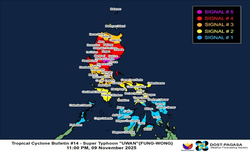 photo 2025 11 10 18 53 59 1