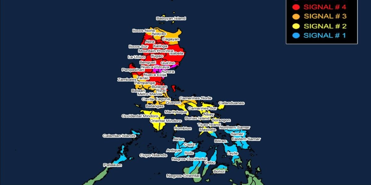 photo 2025 11 10 18 53 59 1