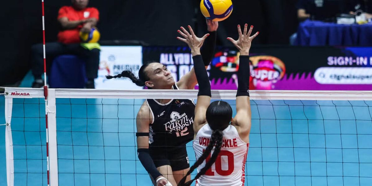 photo 2025 11 12 11 59 23 1