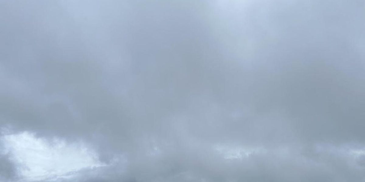 photo 2025 11 17 14 26 06 1