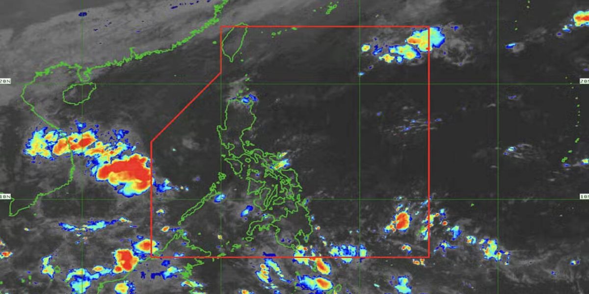 photo 2025 11 18 21 36 06 1