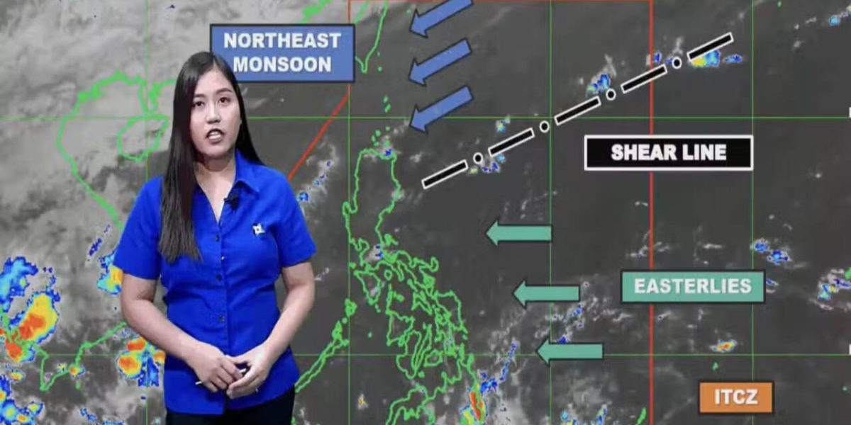 photo 2025 11 19 22 00 29 1