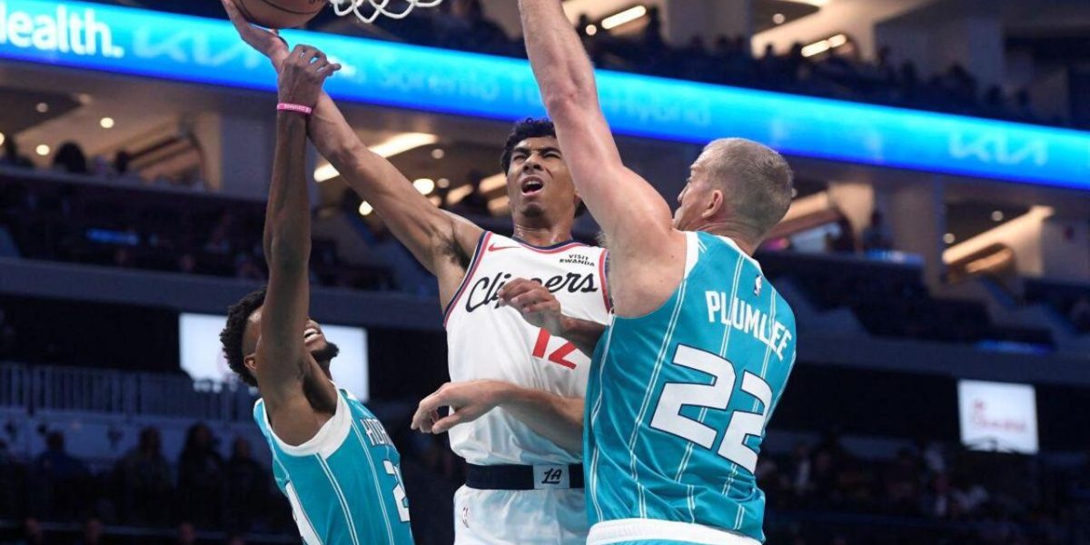 photo 2025 11 23 13 00 27 1