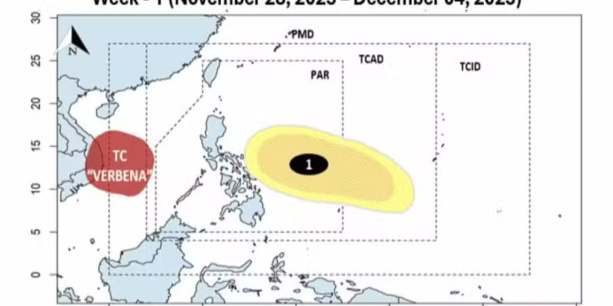 photo 2025 11 29 17 54 55 1