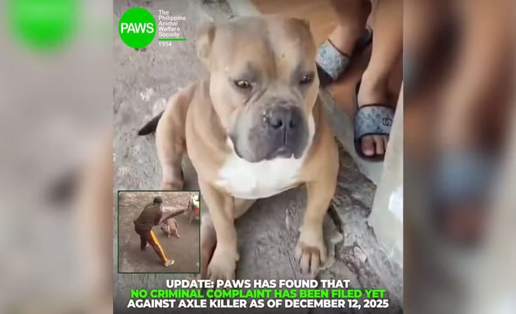 photo 2025 12 14 12 17 53 1 1