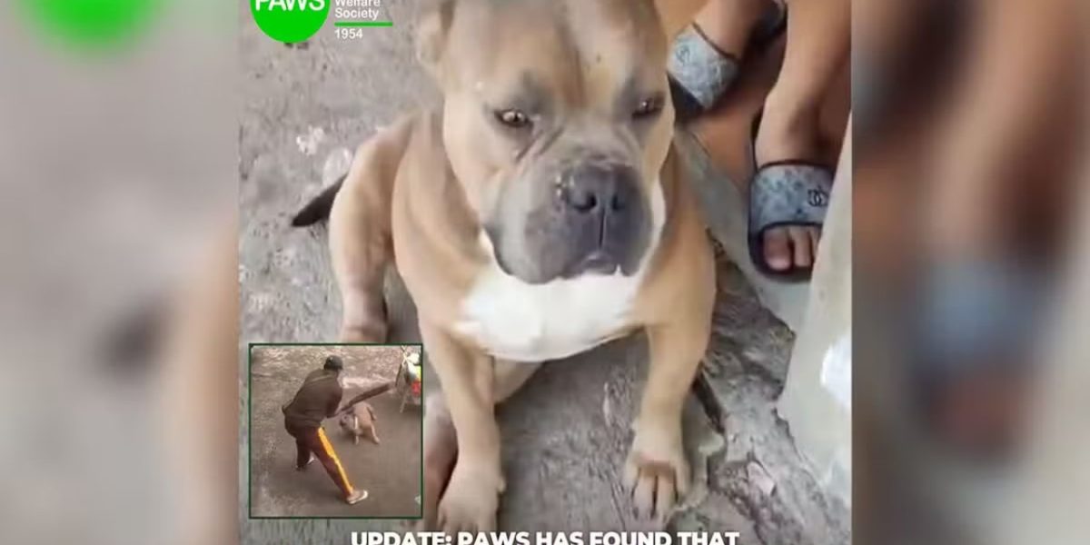 photo 2025 12 14 12 17 53 1