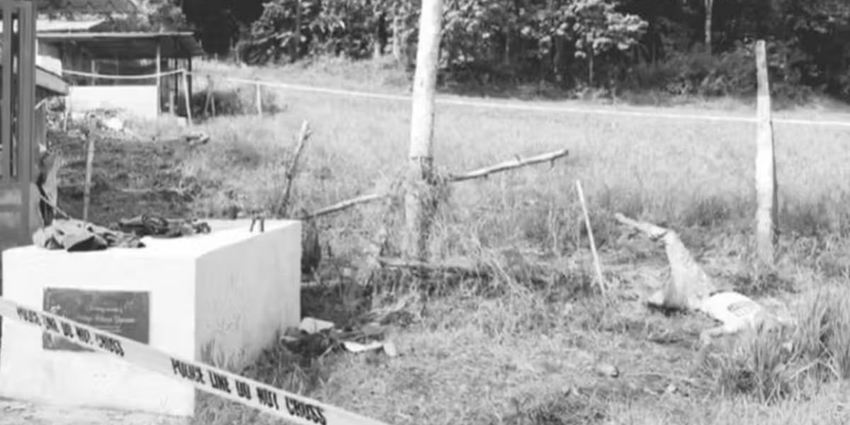 photo 2025 12 30 22 39 08 1