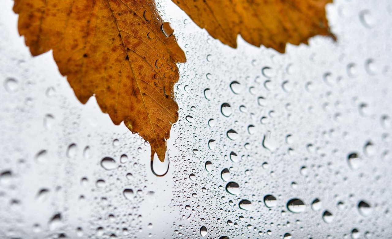 Shear Line, Amihan to bring cloudy skies, rains over PH – Pagasa