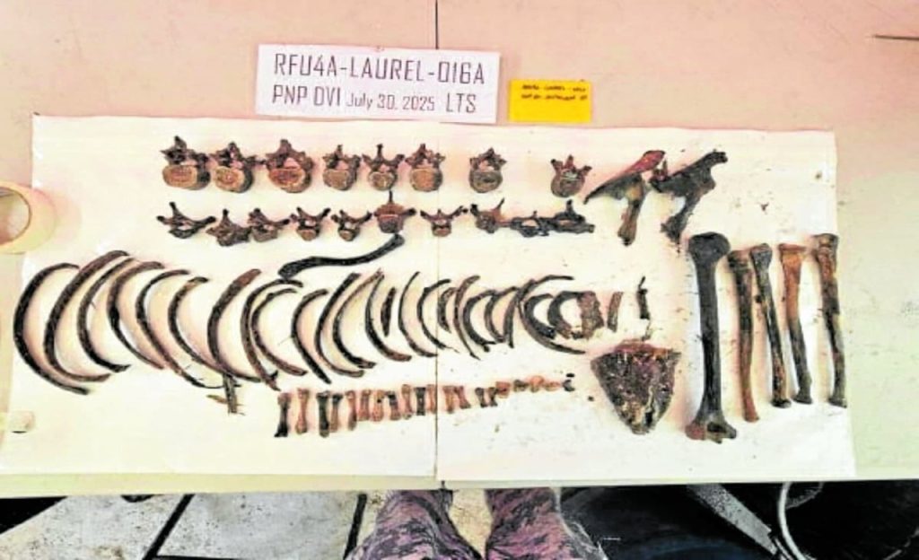 News1069607 1200x881 1