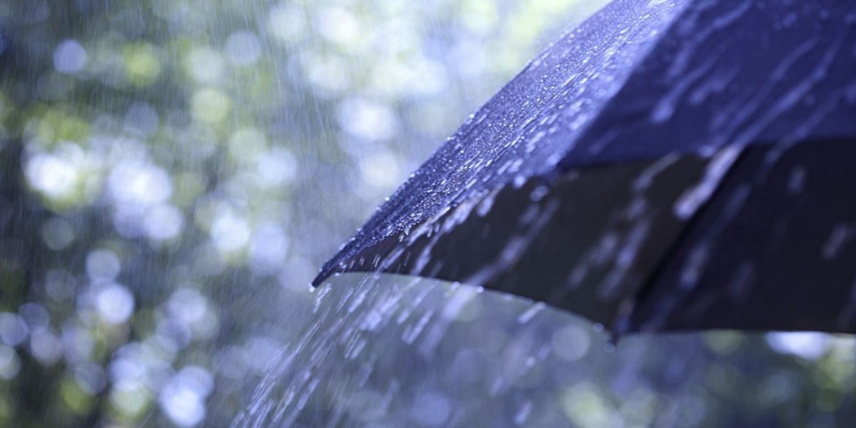 photo 2026 01 06 14 07 38 1