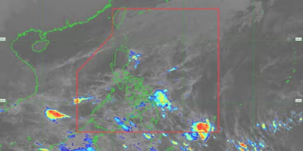 photo 2026 01 12 20 33 08 1