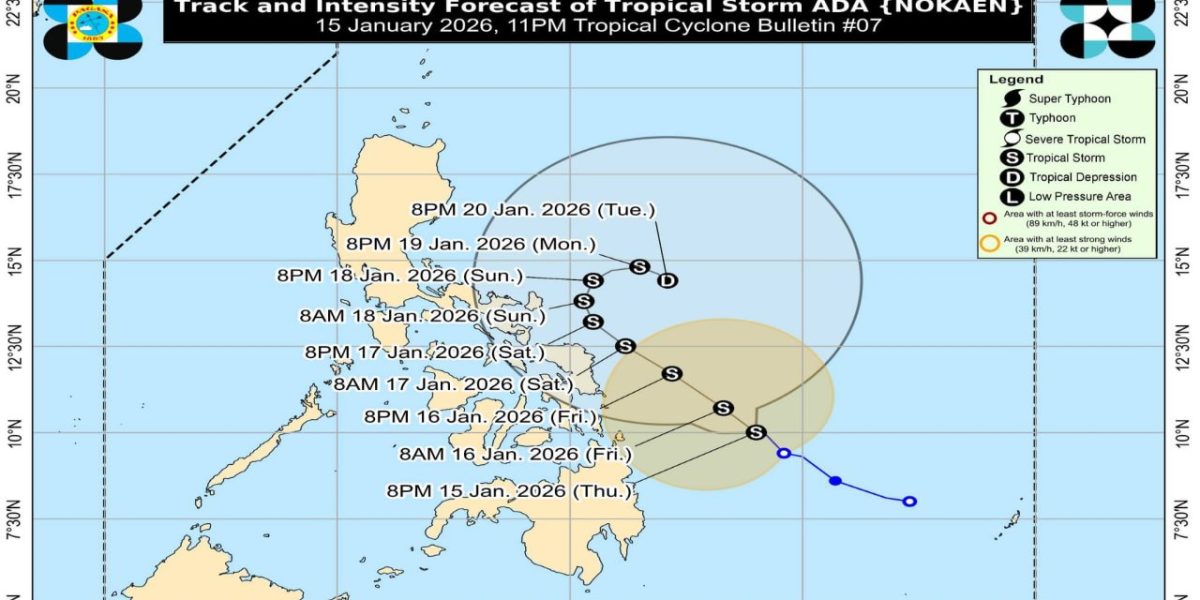 photo 2026 01 17 21 35 31 1