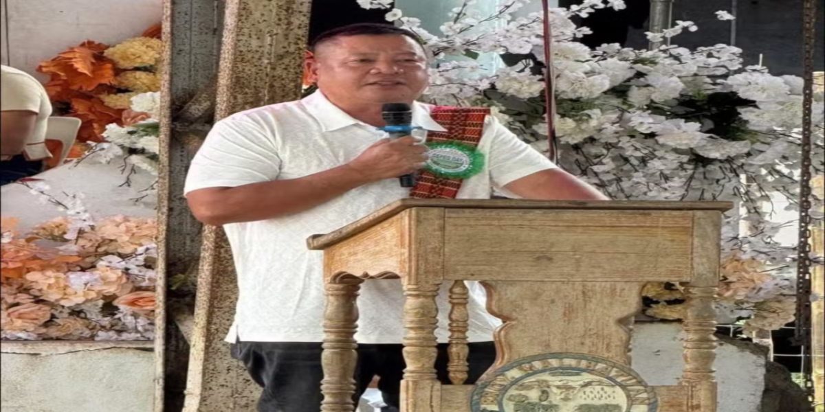 photo 2026 01 17 21 48 58 1