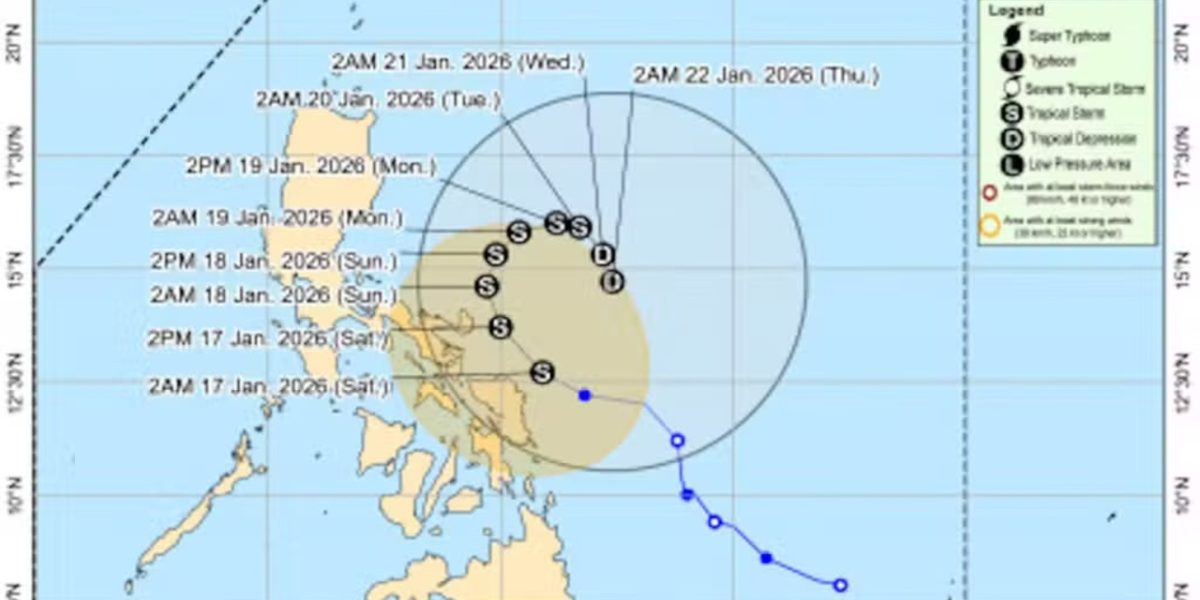 photo 2026 01 18 00 12 28 1