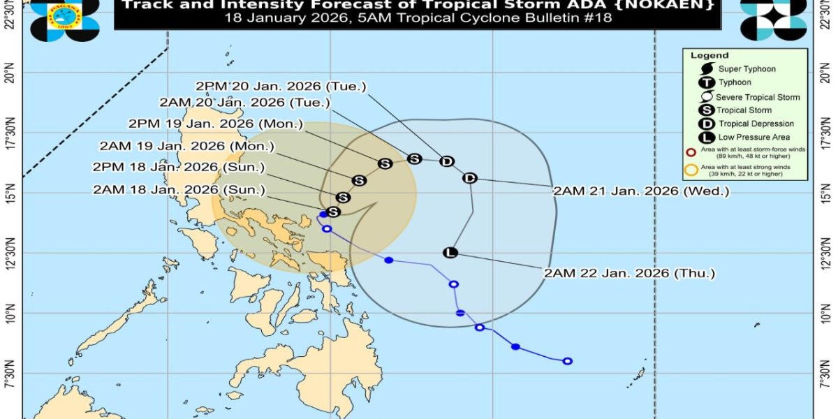 photo 2026 01 19 20 44 53 1