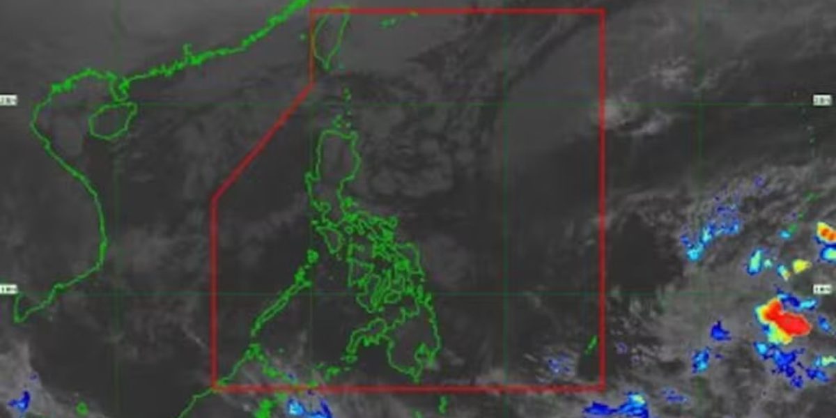 photo 2026 01 21 14 33 05 1