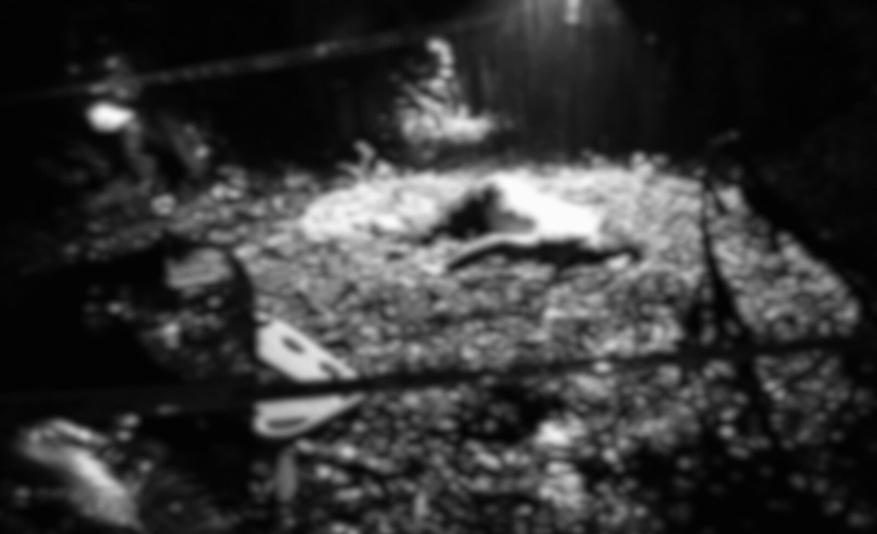 Murder suspect shot dead in Camarines Sur; 4 cops to face raps – PNP