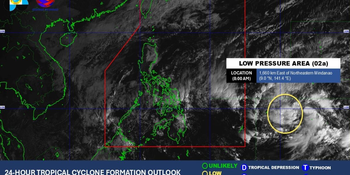 photo 2026 02 03 15 49 44 1