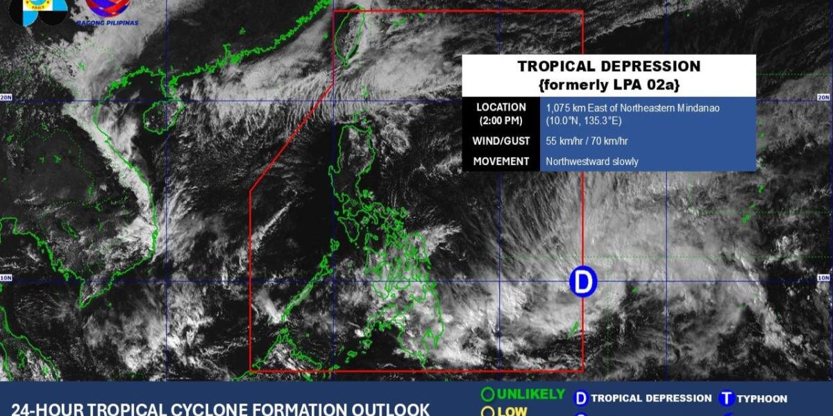 photo 2026 02 04 21 46 41 1