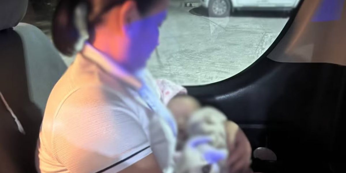 photo 2026 02 05 20 50 57 1