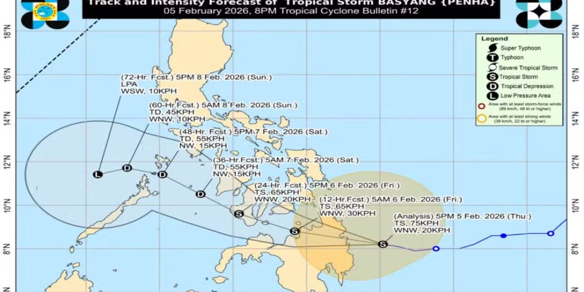 photo 2026 02 05 20 53 22 1