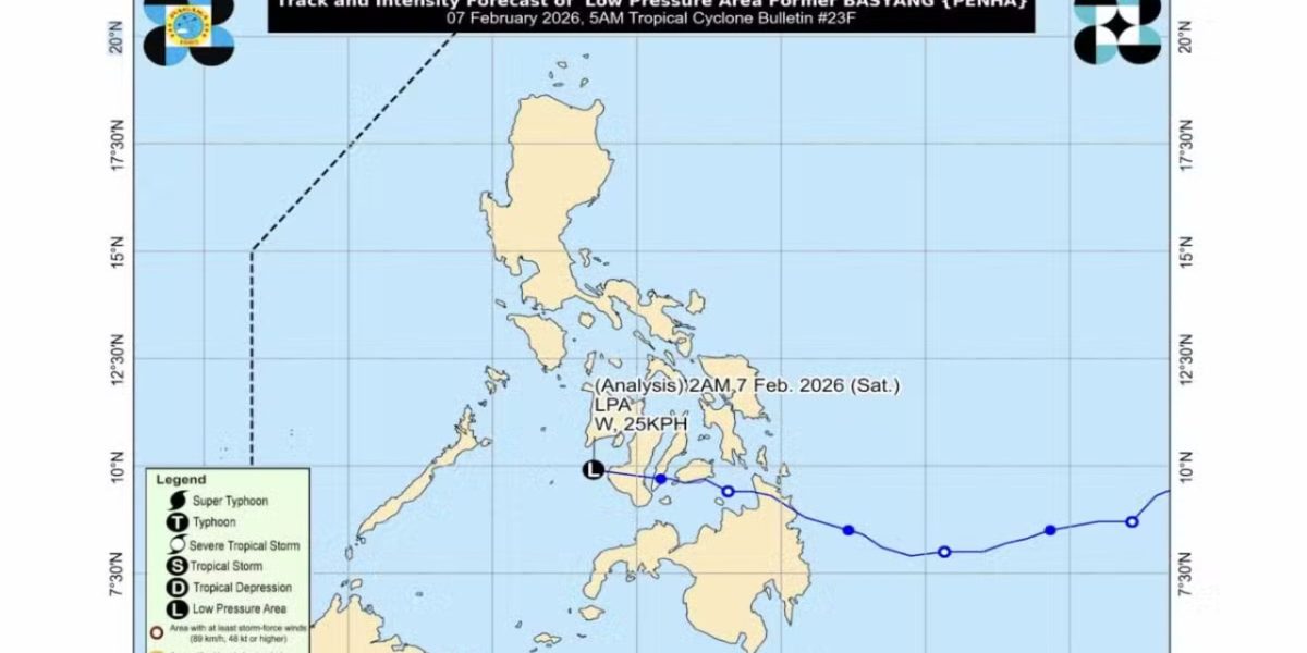 photo 2026 02 09 15 26 20 1