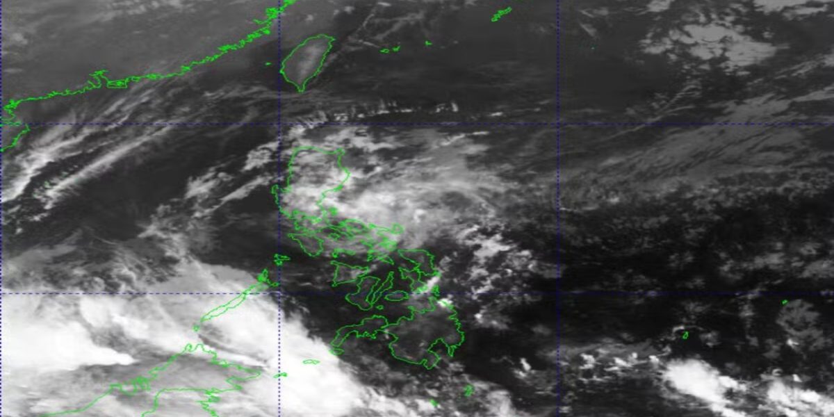 photo 2026 02 15 13 39 43 1