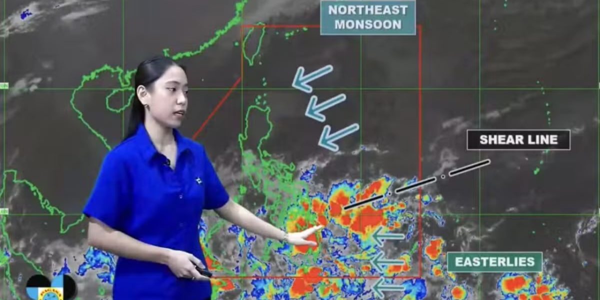 photo 2026 02 23 14 58 10 1