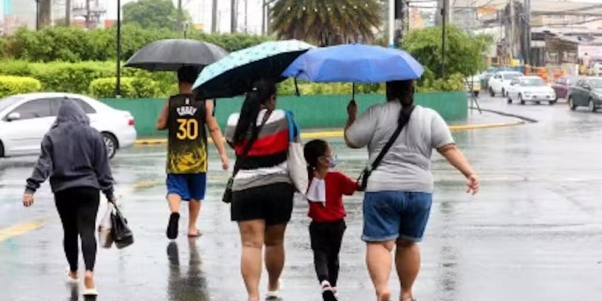 photo 2026 02 23 15 10 10 1