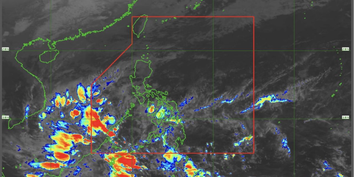 photo 2026 02 23 15 35 41 1