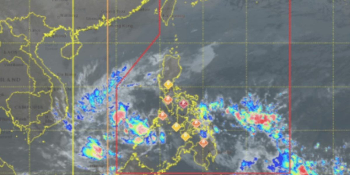 photo 2026 02 25 15 41 18 1