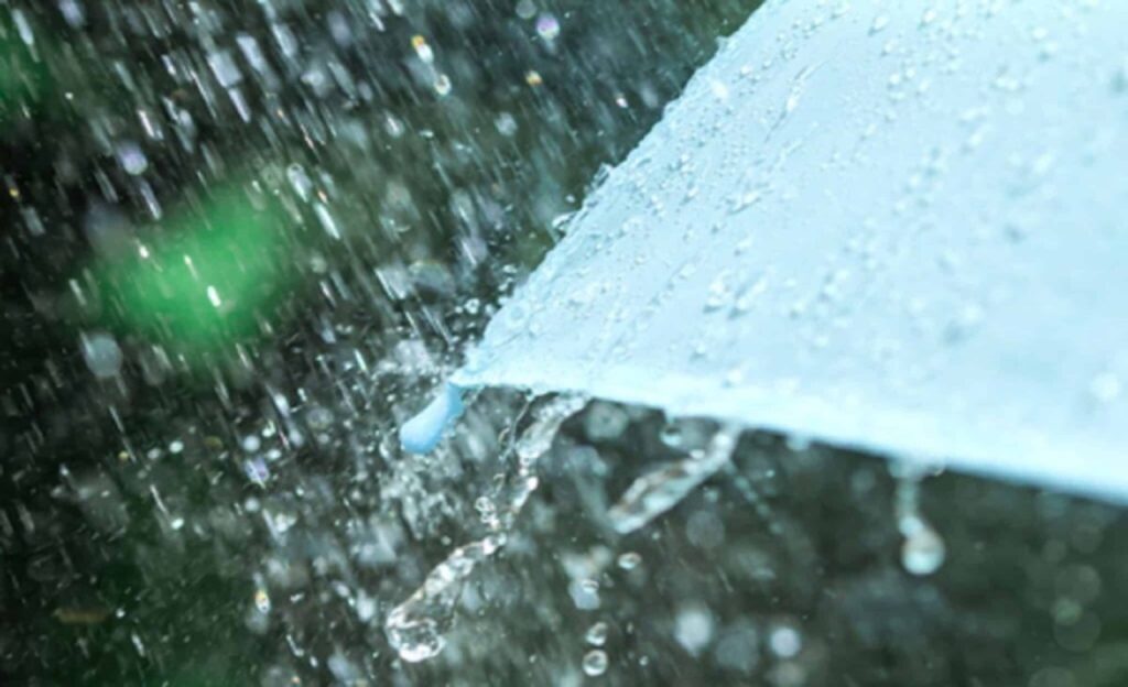 weather rain umbrella 1024x683 1