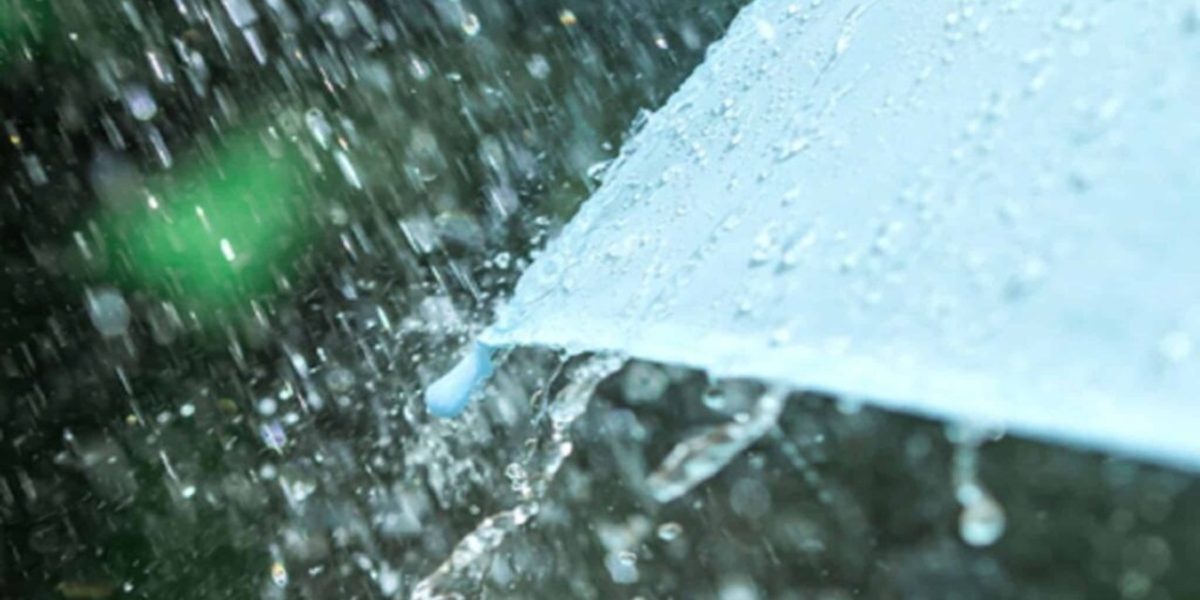 weather rain umbrella 1024x683 1