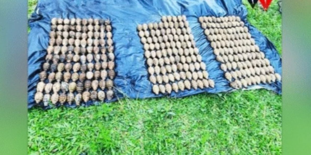 295 grenades seized from terror group arms cache in Lanao Sur 12mar26 1