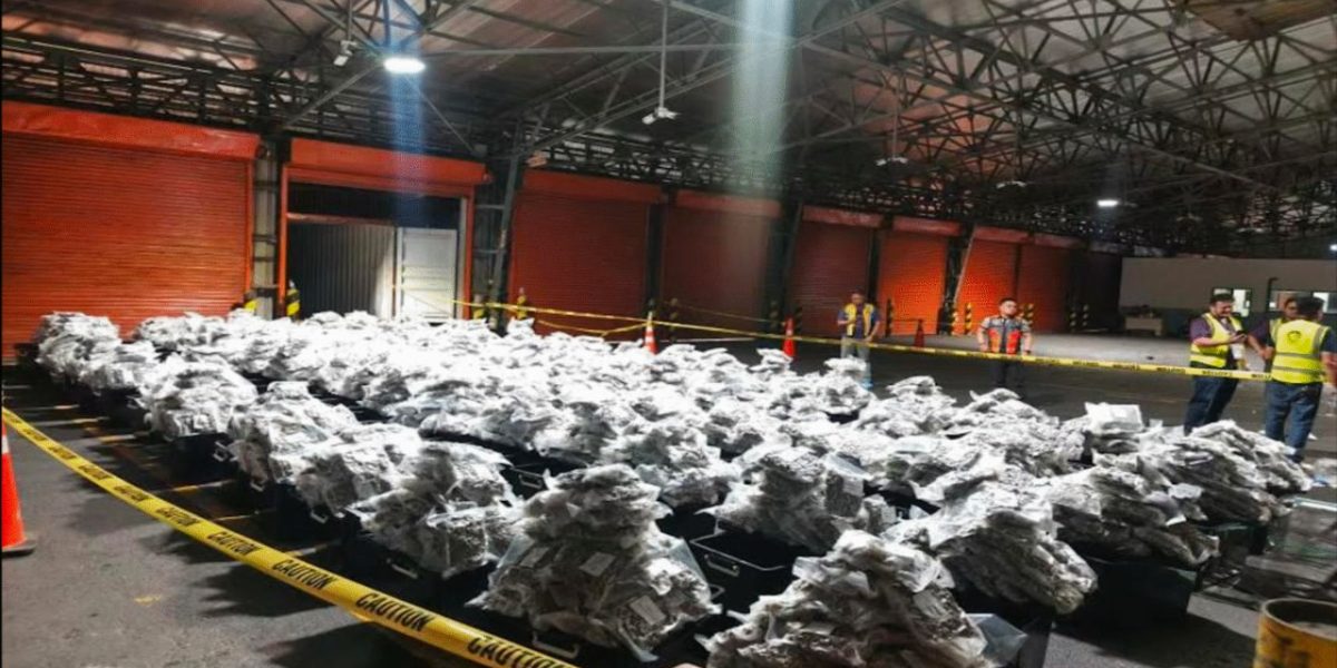 photo 2026 03 08 21 51 56 1