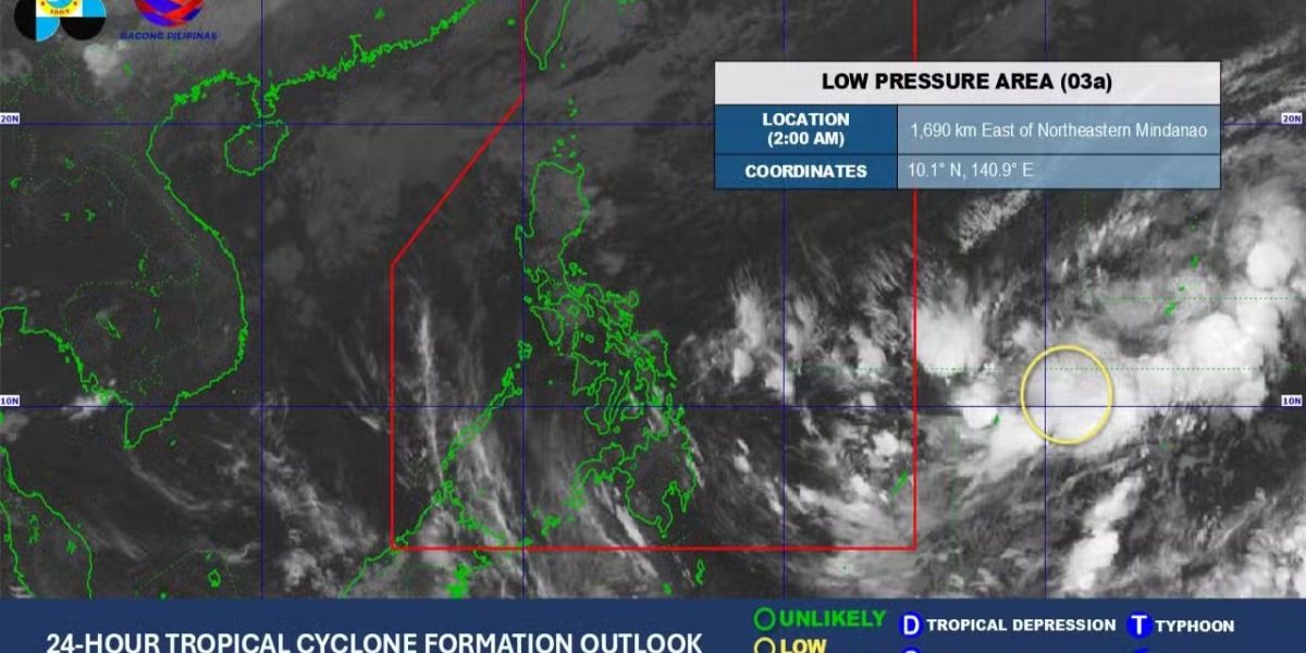 photo 2026 03 08 21 54 24 1